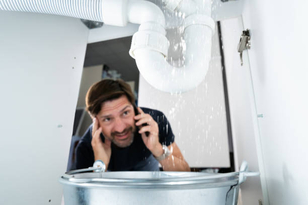 Best Plumbing Inspection Services  in Chippewa Falls, WI